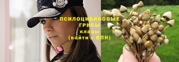 соль курить ск Алексеевка