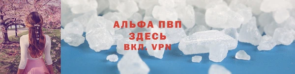 гидра Абаза