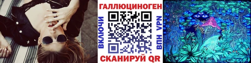 как найти наркотики  Камызяк  Псилоцибиновые грибы мицелий 